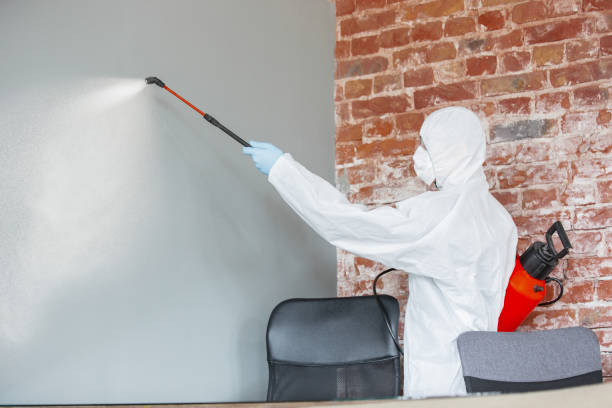 Best Industrial Mold Remediation  in Weimar, TX
