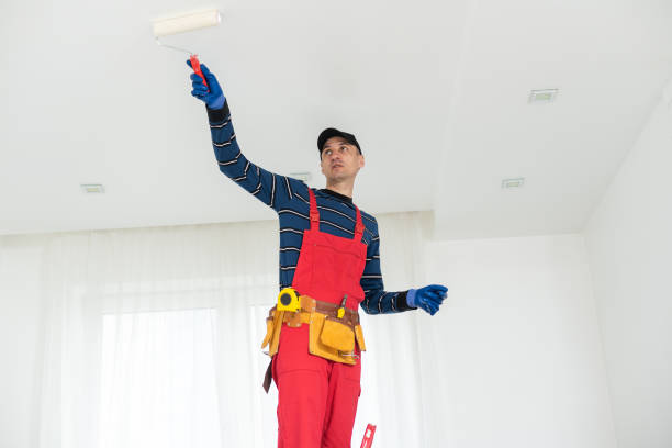 Best Crawl Space Mold Remediation  in Weimar, TX