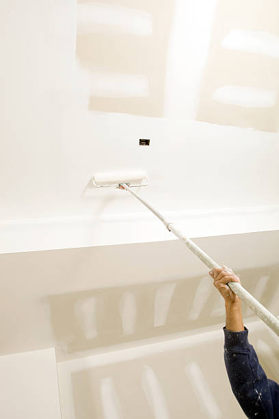 Trusted Weimar, TX Mold Removal Experts