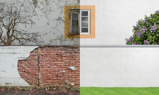 Best Mold Odor Removal Services  in Weimar, TX